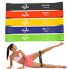 Resistance Band Loop Set